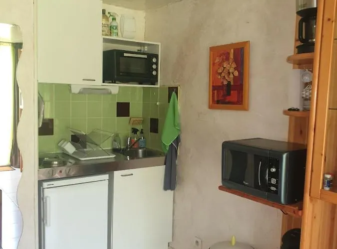 Familial, Rez De Chaussee,piscine Et Parking Prives Апартаменты Палава-ле-Фло